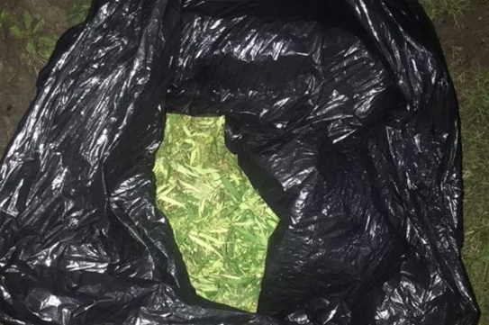 ����������� ����� �������� �� 10 ��� ������ �� �������� ������� ����