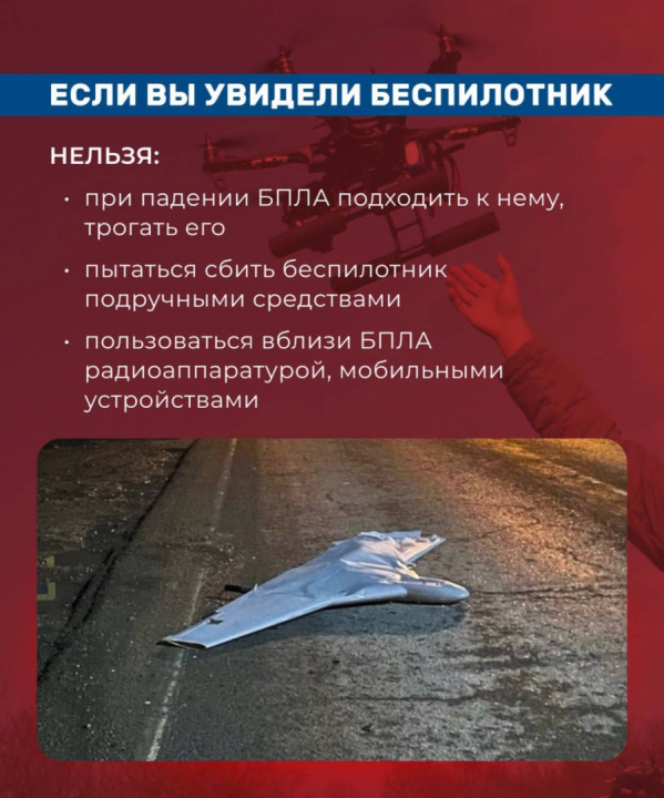 5.jpg (404 KB)